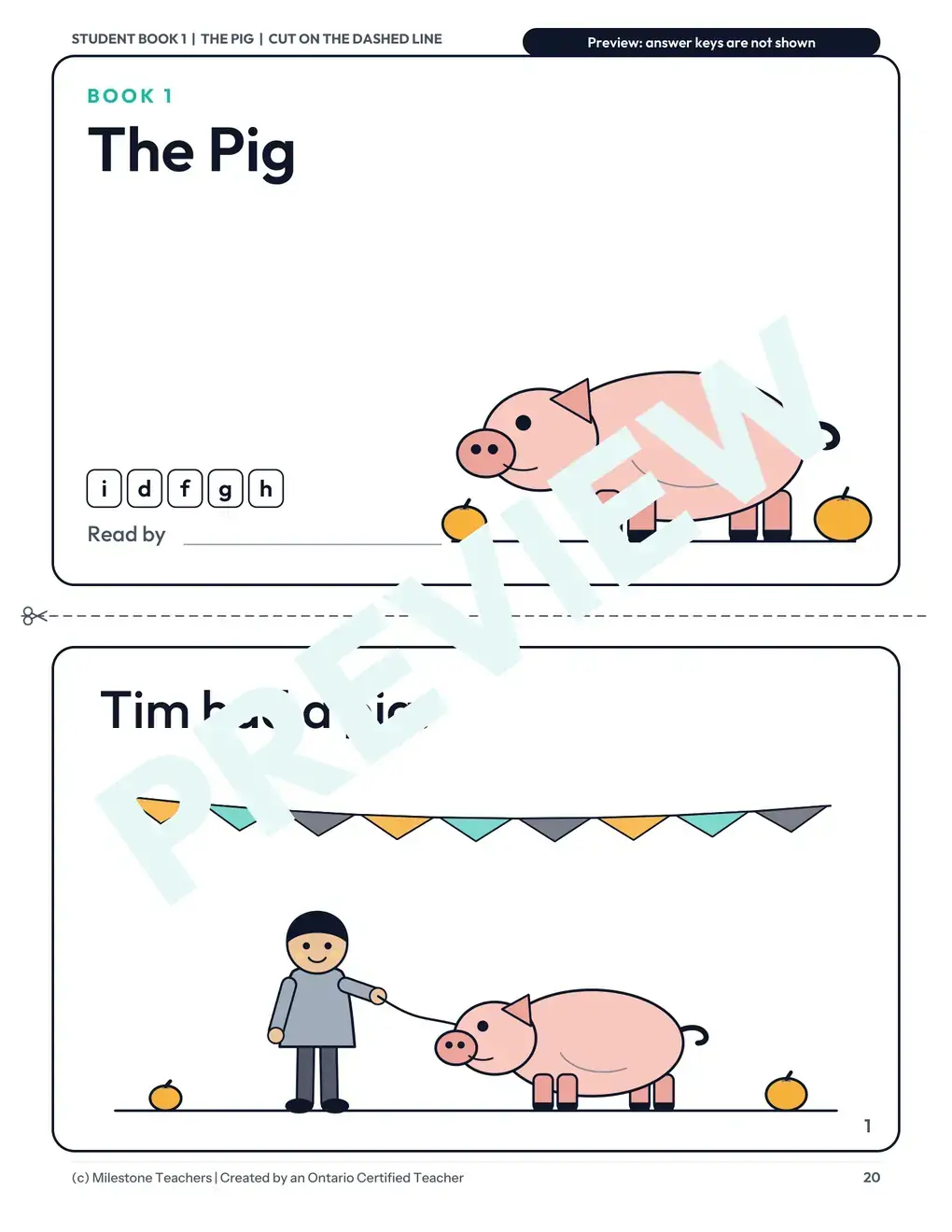 Decodable Book 1: The Pig
